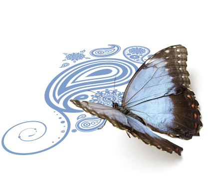 Schmetterling mit violetten Flügeln